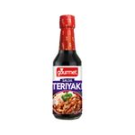 Salsa-Teriyaki-Gourmet